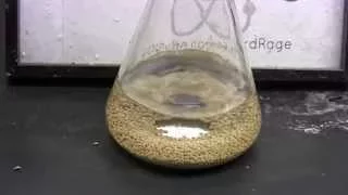 Drying Alcohol Using Magnesium and Molecular Sieves