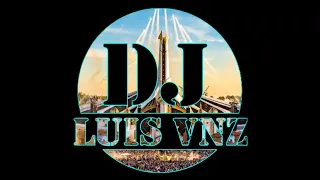 LOS MEJORES EXITOS DE LOS 80s Y 90s - DJ LUIS VNZ
