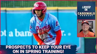 The Top St. Louis Cardinal Non Roster Invitees To Watch At Spring Training