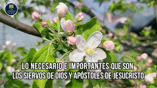 Lo necesario e importante que son los Siervos de Dios y Apóstoles de Jesucristo 📖​ Estudio LLDM