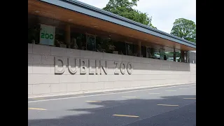 Dublin ZOO #2021| Amazing Attractions | PART 1