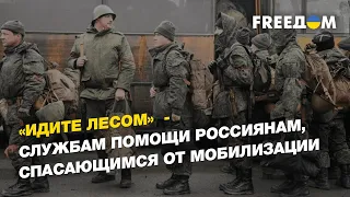 «Идите лесом»  - служба помощи россиянам, спасающимся от мобилизации  | FREEДОМ