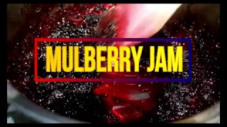 EASY MULBERRY JAM RECIPE/ HOMEMADE JAM/How to make Mulberry Jam/ 3 ingredients only/PangNegosyo
