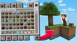 SKYBLOCK, MAS EU POSSO ENTRAR NO CRIATIVO A CADA 1 MINUTO (por 3 segundos)