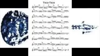 Tico-Tico no Fubá 70 bpm Video 53