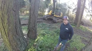 2nd Tree, Impressive Fail With Husqvarna 592xp