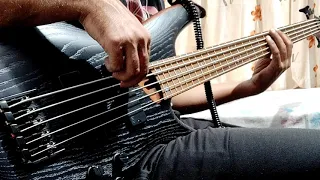 Opeth - In My Time of Need (Bass Cover) #IbanezSR675 #opeth #bass