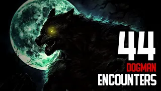 44 DOGMAN ENCOUNTERS COMPILATION (3 HOURS OF DOGMAN ENCOUNTERS) - What Lurks Beneath