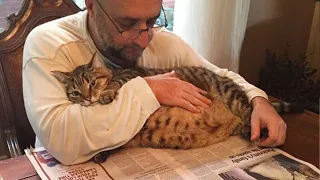 No one can escape the love of cats 😊 Cute cat and owner videos