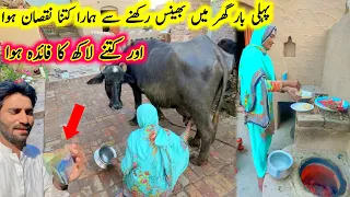 bhains rakhne se Kitna nuksan aur kitne lakh ka fayda hua🤔🏡|village life|Pak village family