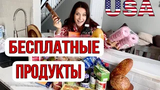 БЕСПЛАТНЫЕ ПРОДУКТЫ В США/FOOD BANK/НА КАКИХ МАШИНАХ ПРИЕЗЖАЮТ/БЕДНОСТЬ В США/КОМУ Я ОТДАЛА ПРОДУКТЫ