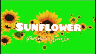 (1 Hour Lyrics) Sunflower - Post Malone & Swae Lee