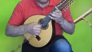 Tico Tico no fubá - Zequinha de Abreu - Versión bandurria