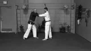 Naifanchi Shodan kata and bunkai