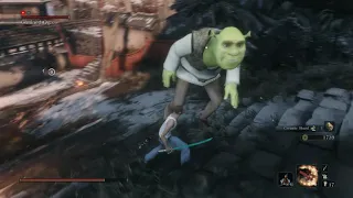 Ah sh*t, here comes Shrek again... (Cyberpunk Sworded CJ vs Shrekiro) Mods in description