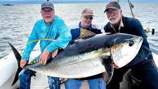 Catching Giant Yellowfin Tuna on JIGS