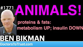 BEN BIKMAN | ANIMALS!  proteins & fats: metabolism UP; insulin DOWN