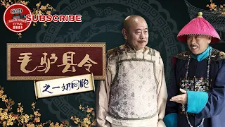 《毛驴县令之一奶同胞》Donkey magistrate –Siblings【电视电影 Movie Series】