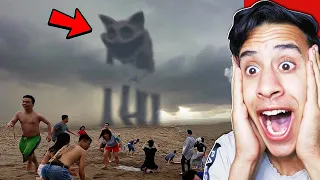 ظهور الكات ناب الحقيقي في شواطي نيويورك ( لن تصدق ماذا فعل ) !!🔥😨