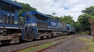 240 VAGÕES! Trem histórico passando pelo interior Paulista