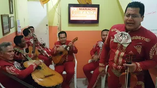 LOCO de ALEJANDRO FERNÁNDEZ con el "Mariachi Miranda"