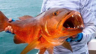 EXTREME Offshore Fishing {CATCH CLEAN COOK} Whole Fried Snapper