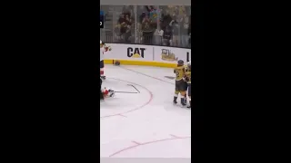 Vegas golden knights vs Florida panthers scrums