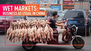 INVESTIGATION: Animal Equality Reveals China's Wet Markets Continue to Operate