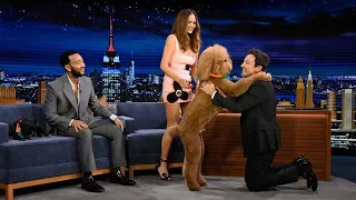 The story of Chrissy Teigen and John Legend taking their dog out on the 'Tonight Show#celebritynews