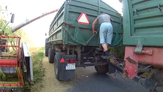 kosimy pszenżyto/ ursuc c330, claas mega 208 & fendt 415 w akcji CZ.2