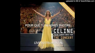 Pour Que Tu M'aimes Encore (Instrumental Live - Taking Chances Tour)