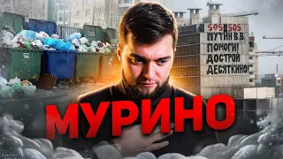 Цены выросли в 5 раз! Кто это покупает? Страшно подробный обзор Мурино