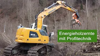 LU-DENGG- Energieholzernte mit #liebherr R 914 C #bagger | #oilquick #axer #hultdins Forstarbeit