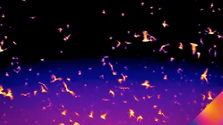 Mexican Free-Tailed Bats with FLIR | Bracken Cave, Texas