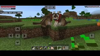 OS DOGS ESTÃO SE AMANDO - MINECRAFT