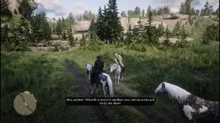 Red Dead Redemption 2 The Second Race The Male Missouri Fox Trotter Vs Nokota