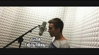 kandkmusic - ТЮЛЬПАНЫ [липа cover]