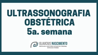 Ultrassonografia Semana a Semana - quinta semana de gravidez