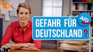 Wie gefährlich ist die AfD? | Inside PolitiX