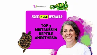 FREE Webinar Live: "Top 3 Mistakes in Reptile Anesthesia"