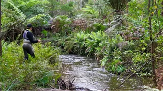 Catching Wild Brown Trout on the Loch River in May | Fly Fishing Victoria, Australia