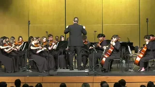 Allatoona Camerata Orchestra