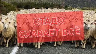 ХОЧЕШЬ ВЫЖИТЬ?ДЕРЖИСЬ ОТ СТАДО ПОДАЛЬШЕ!