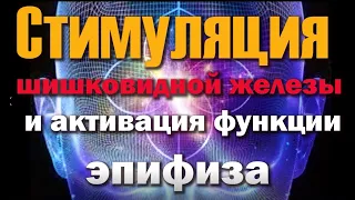 Стимуляция шишковидной железы и активация функции эпифиза и нервной системы головного мозга.