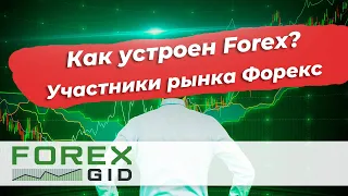 Как устроен Forex? Участники рынка Форекс.