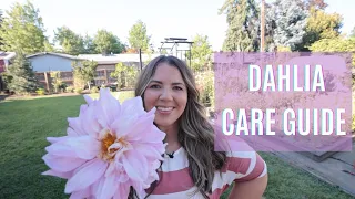 Dahlia Tips and Tricks Care Guide 🌸😍 // Coast to Coast Home and Garden