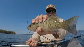 Kayak Fishing the perfect tide, Snapper Parmesan {Catch, Clean, Cook}.