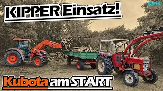 Der erste EINSATZ  vom KIPPER! | Vadders KUBOTA am Holz laden! | M8560 | IHC 633 | Bruns | Mr. Moto