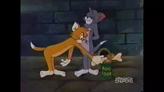 ᴴᴰ Tom and Jerry, Episode 115 - Switchin' Kitten [1961] - P2/3 | TAJC | Duge Mite