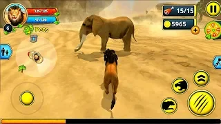 Lion Family Sim Online Android Gameplay #3